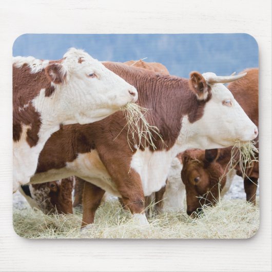 Kanada, British Columbia, Pemberton Mousepad (Vorne)