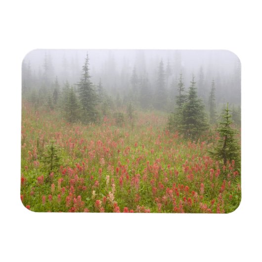 Kanada, British Columbia, Revelstoke National Magnet (Horizontal)