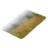 Kanada, British Columbia, Revelstoke National Magnet (Linke Seite)