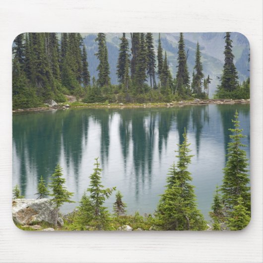 Kanada, British Columbia, Revelstoke National Mousepad (Vorne)
