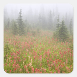 Kanada, British Columbia, Revelstoke National Quadratischer Aufkleber