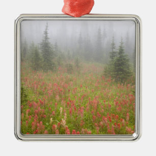 Kanada, British Columbia, Revelstoke National Silbernes Ornament