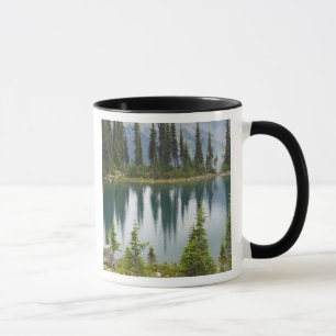 Kanada, British Columbia, Revelstoke National Tasse