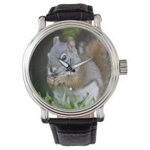 Kanada, British Columbia, Rotes Eichhörnchen Pine Armbanduhr