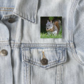Kanada, British Columbia, Rotes Eichhörnchen Pine Button (Beispiel)