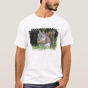 Kanada, British Columbia, Rotes Eichhörnchen Pine T-Shirt
