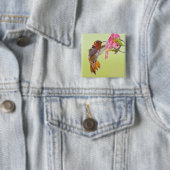 Kanada, British Columbia, Rufous Hummingbird Button (Beispiel)