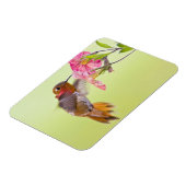 Kanada, British Columbia, Rufous Hummingbird Magnet (Linke Seite)