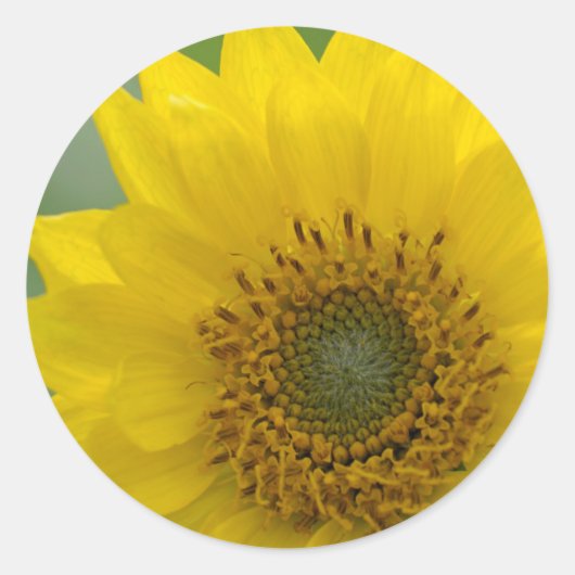 Kanada, British Columbia, Vancouver Island 7 Runder Aufkleber (Vorderseite)