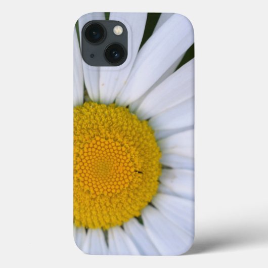 Kanada, British Columbia, Vancouver Island 8 Case-Mate iPhone Hülle (Rückseite)