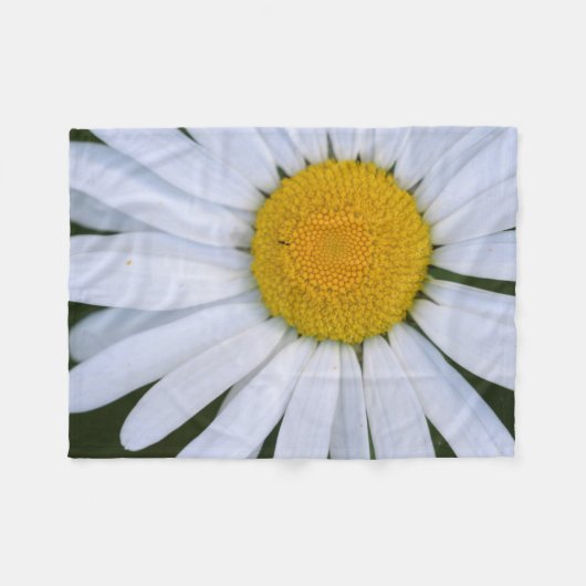 Kanada, British Columbia, Vancouver Island 8 Fleecedecke (Vorderseite (Horizontal))