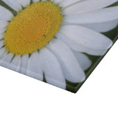 Kanada, British Columbia, Vancouver Island 8 Schneidebrett (Ecke)