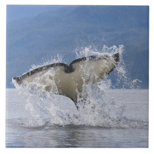 Kanada, British Columbia, Vancouver Island, Fliese