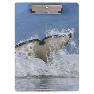 Kanada, British Columbia, Vancouver Island, Klemmbrett