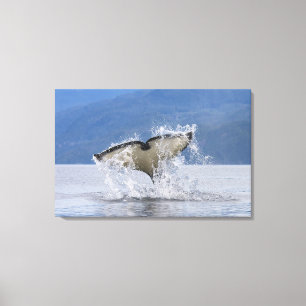 Kanada, British Columbia, Vancouver Island, Leinwanddruck