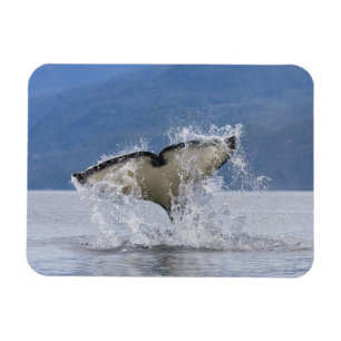 Kanada, British Columbia, Vancouver Island, Magnet