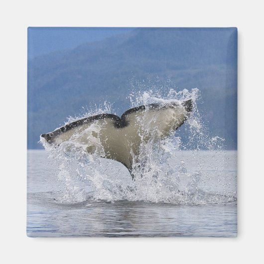 Kanada, British Columbia, Vancouver Island, Magnet (Vorne)