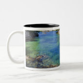Kanada, British Columbia, Vancouver Island. Meer 2 Zweifarbige Tasse (Links)