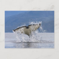 Kanada, British Columbia, Vancouver Island,