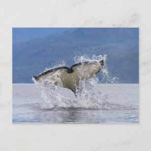 Kanada, British Columbia, Vancouver Island, Postkarte