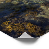 Kanada, British Columbia, Vancouver Island. See Poster (Ecke)