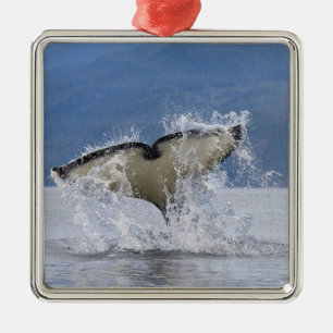 Kanada, British Columbia, Vancouver Island, Silbernes Ornament