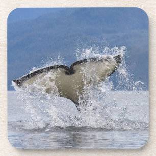 Kanada, British Columbia, Vancouver Island, Untersetzer