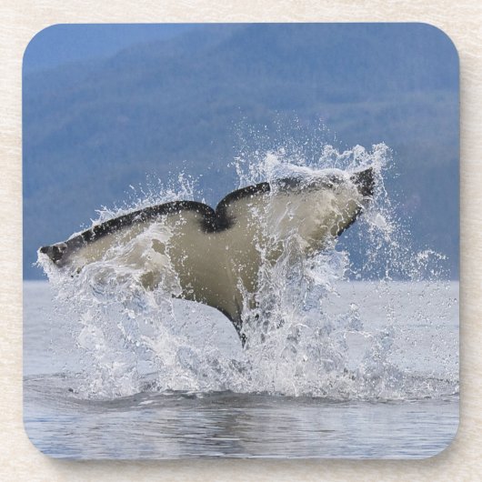 Kanada, British Columbia, Vancouver Island, Untersetzer (Vorderseite)