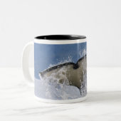 Kanada, British Columbia, Vancouver Island, Zweifarbige Tasse (Vorderseite Links)