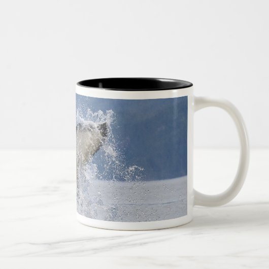 Kanada, British Columbia, Vancouver Island, Zweifarbige Tasse (Rechts)