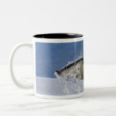 Kanada, British Columbia, Vancouver Island, Zweifarbige Tasse (Links)