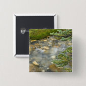 Kanada, British Columbia, Yoho National Park.4 Button (Vorne & Hinten)