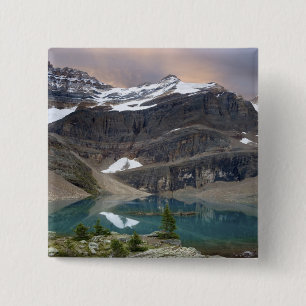 Kanada, British Columbia, Yoho National Park. Button