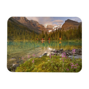 Kanada, British Columbia, Yoho-Nationalpark. 2 Magnet