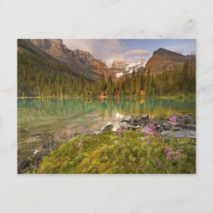Kanada, British Columbia, Yoho-Nationalpark. 2 Postkarte