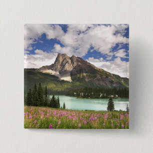 Kanada, British Columbia, Yoho-Nationalpark. 3 Button