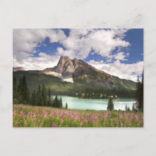 Kanada, British Columbia, Yoho-Nationalpark. 3 Postkarte