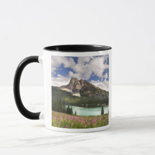 Kanada, British Columbia, Yoho-Nationalpark. 3 Tasse