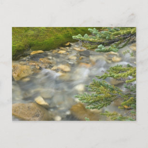Kanada, British Columbia, Yoho-Nationalpark. 4 Postkarte