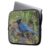 Kanada: British Columbia, Yoho NP, Stellar Jay, Laptopschutzhülle (Vorderseite Links)