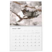 Kanada datiert 2024, Medium, Mr. Bickles Mauer Kalender (Jan 2027)