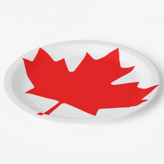 Kanada Day Pride Set von 8 Tellern Pappteller (Schrägansicht)