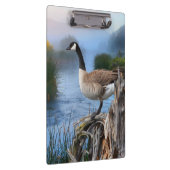 KANADA-GANS AUF DEM SHASTA KLEMMBRETT (Rechts)