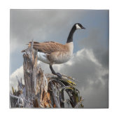 KANADA-GANS AUF EINEM BAUMSTUMPF FLIESE (Vorderseite)