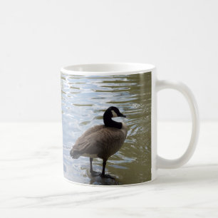 Kanada-Gans auf Felsen Kaffeetasse