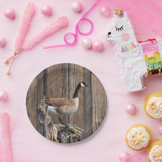 KANADA-GANS AUF SCHEUNEN-BRETT PAPPTELLER (Party)