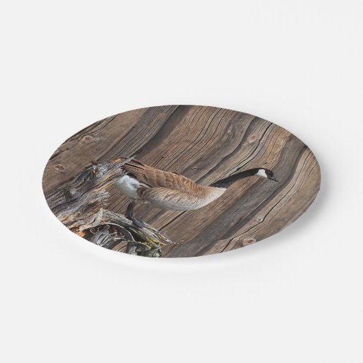 KANADA-GANS AUF SCHEUNEN-BRETT PAPPTELLER (Schrägansicht)