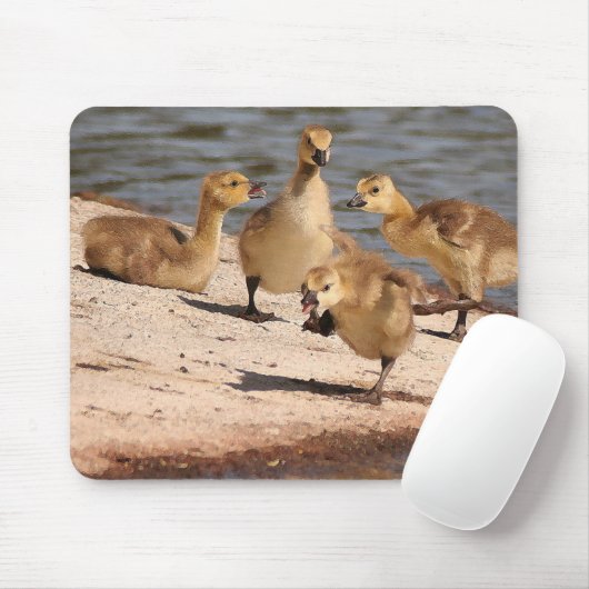Kanada-Gans-Gänschen Mousepad (Mit Mouse)
