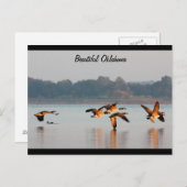 Kanada-Gans-im Flug Postkarte (Vorne/Hinten)