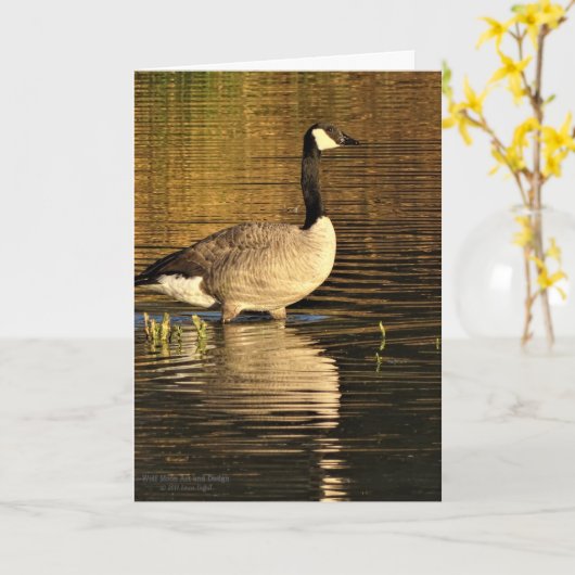 Kanada-Gans im Wasser mit Reflexion Karte (Gelbe Blume)